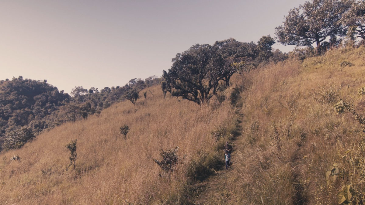 A Grandfather - Photo 4