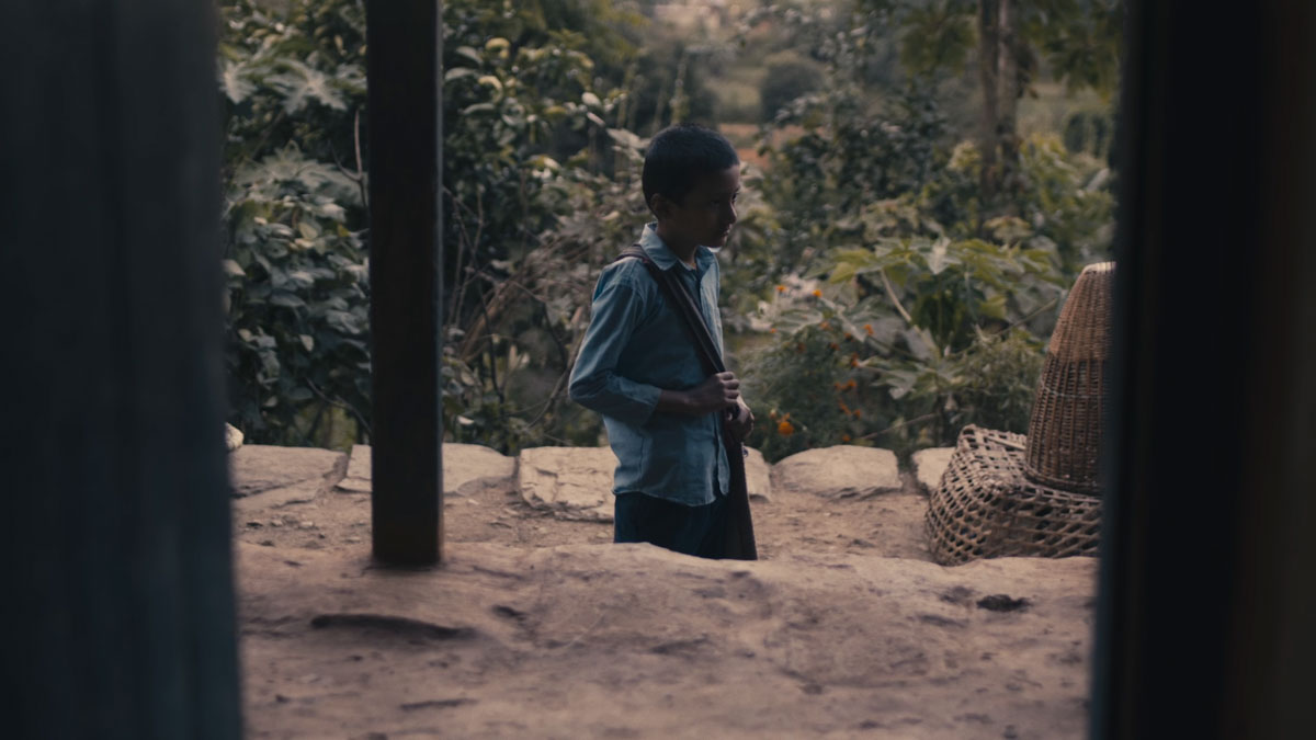 A Grandfather - Photo 8