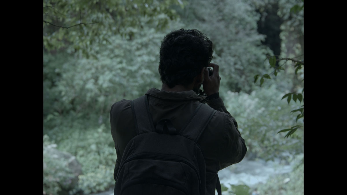 Here There Everywhere - Photo 1