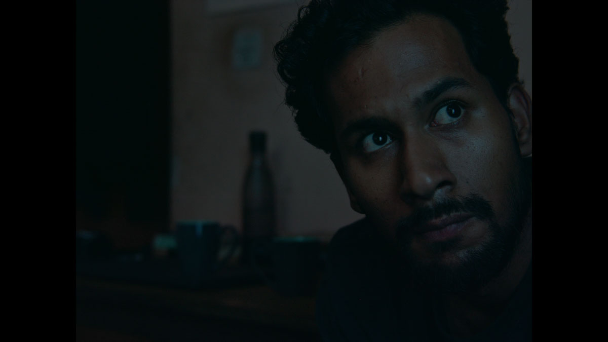 Here There Everywhere - Photo 4