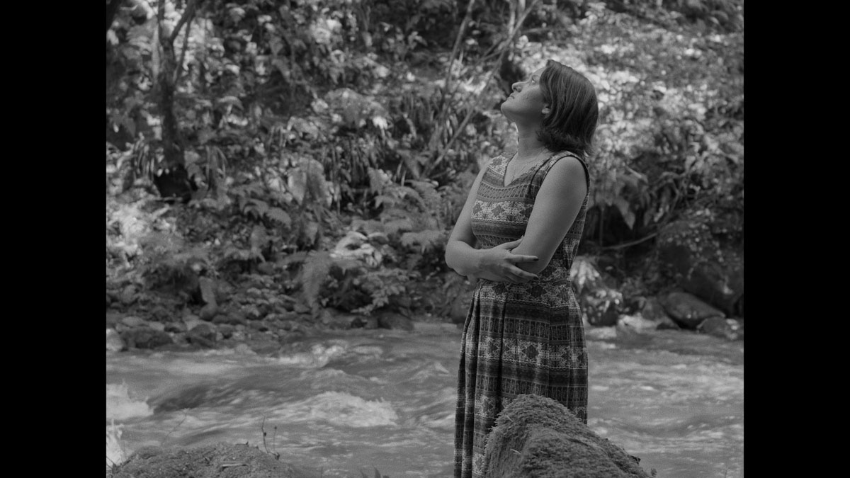 Here There Everywhere - Photo 5