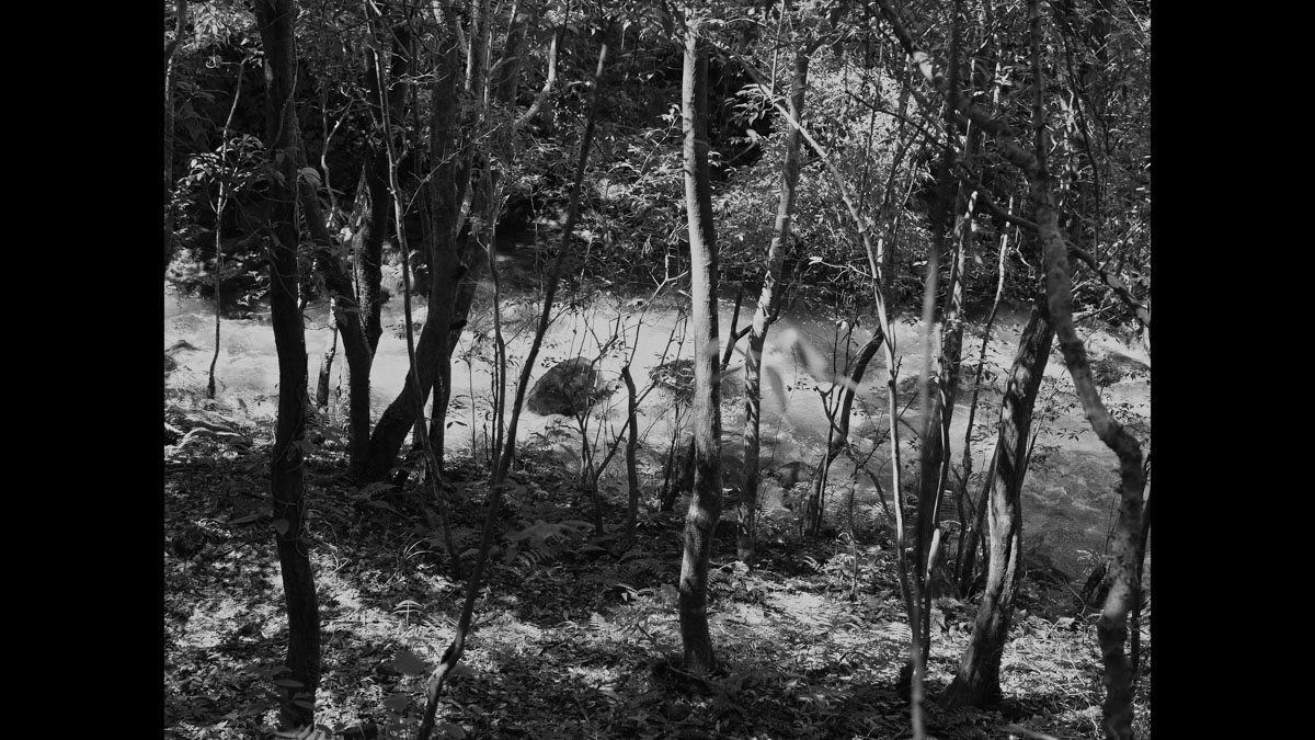 Here There Everywhere - Photo 6